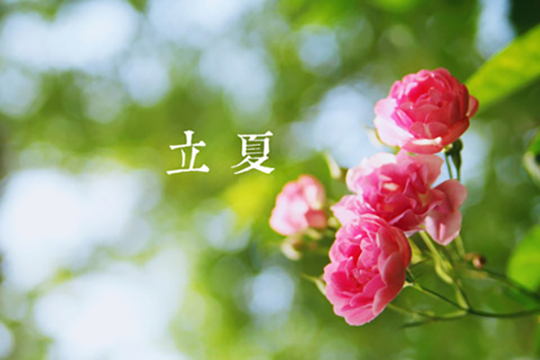 斯普瑞涂裝|立夏,萬物向陽,且共成長(zhǎng)