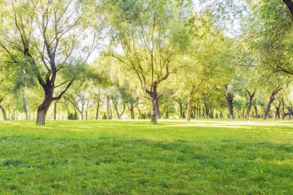 整套噴塑流水線設(shè)備廠:生意盎然的春正踏步而來(lái)！